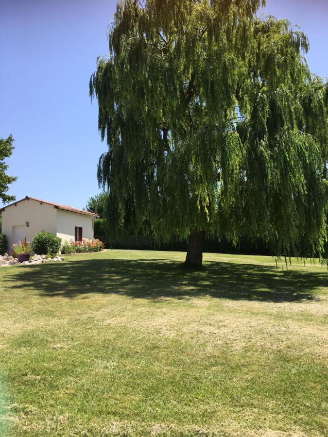 Domaine De La Vigne Panzió Cadalen Kültér fotó