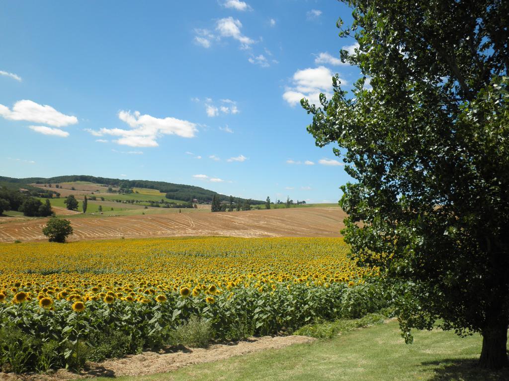 Domaine De La Vigne Panzió Cadalen Kültér fotó